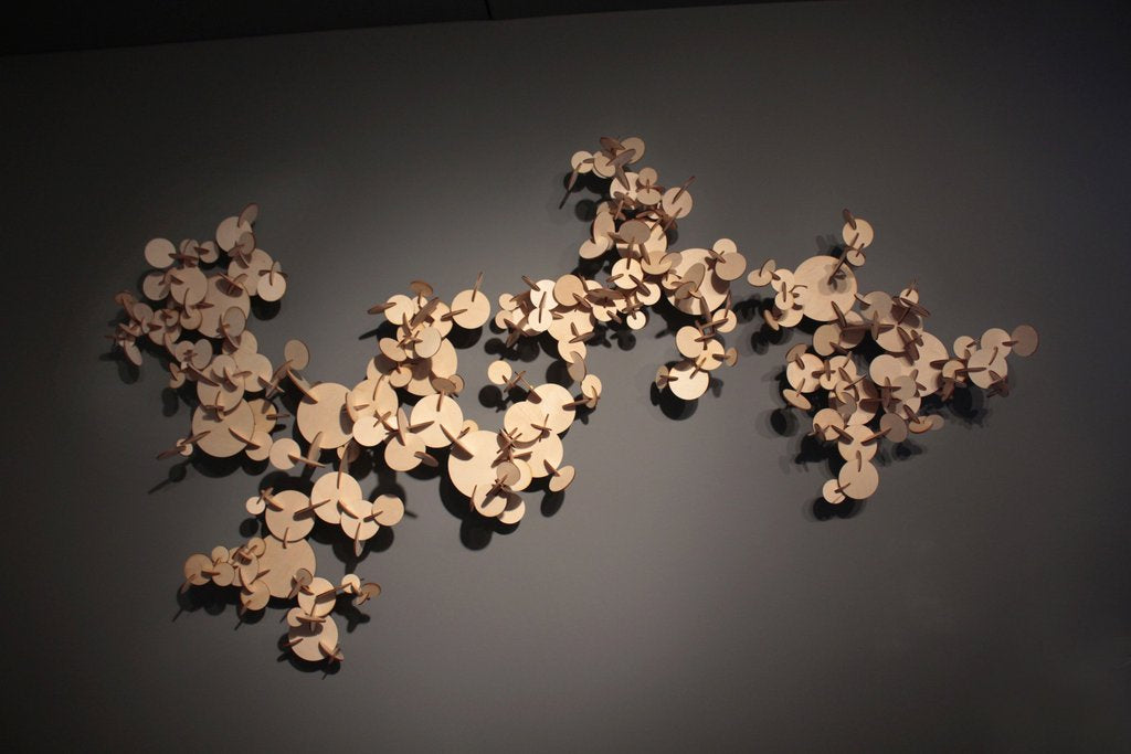 The Fractal Nature of Things Art Installation Texas Melissa Borrell