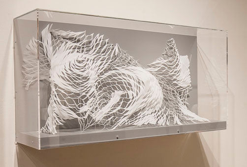 Expanding Landscape Installation Office Art Melissa Borrell
