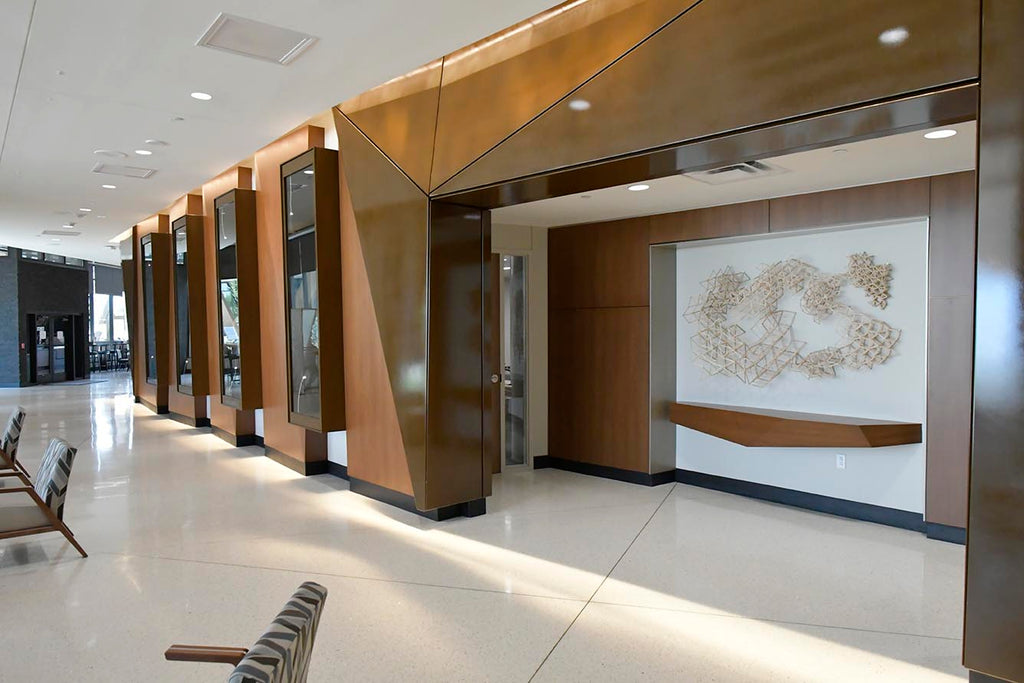 Tessellation Presbyterian Hospital Frisco TX Wall Art Melissa Borrell