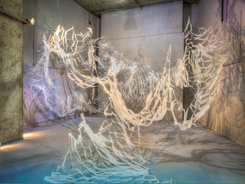 Expanding Landscape Melissa Borrell 